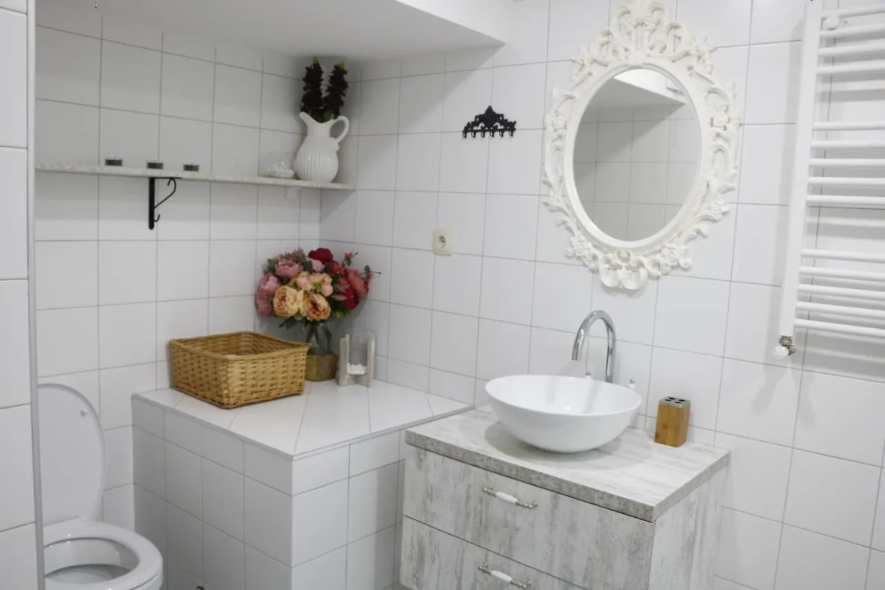 Antresol Rustaveli Apartment Tbilisi